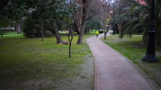 Peuter in helm is paardrijden scooter in park. Stedelijk voertuig voor actieve kinderen. Vrijetijdsbesteding. Sotsji, Rusland. — Stockvideo