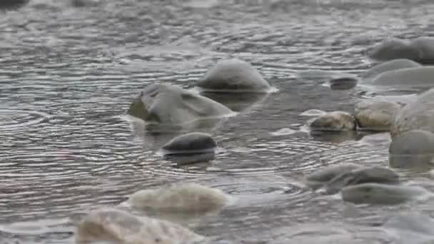 Regndroppar på vattenytan. Stenar i floden Sotji som rinner från bergen genom staden. Sotji, Ryssland. — Stockvideo