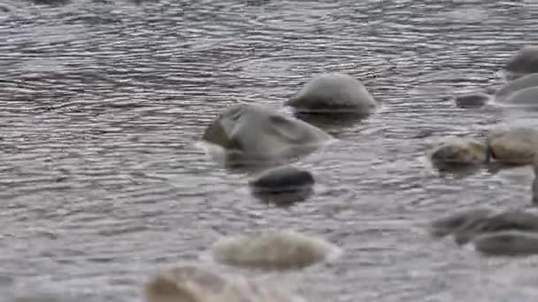Σταγόνες βροχής στην επιφάνεια του νερού. Πέτρες στο ρέμα του ποταμού Σότσι ρέουν από βουνά μέσα από την πόλη. Sochi, Ρωσία. — Αρχείο Βίντεο