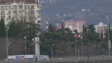 SOCHI, Rusya - Mart 03, 2020. Martı Soçi şehrinin üzerinde uçar. Deniz kuşu uçuyor.
