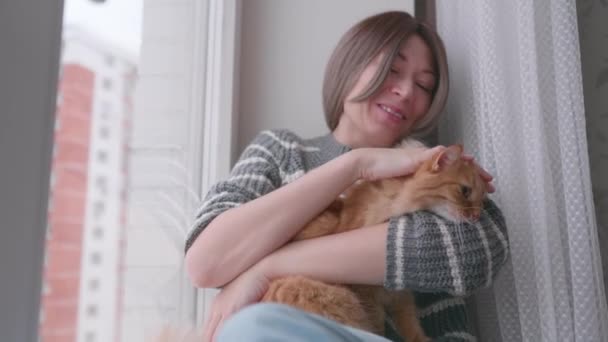 Kobieta głaskająca słodkiego rudego kota. Puszyste zwierzę ze swoim właścicielem na parapecie. — Wideo stockowe