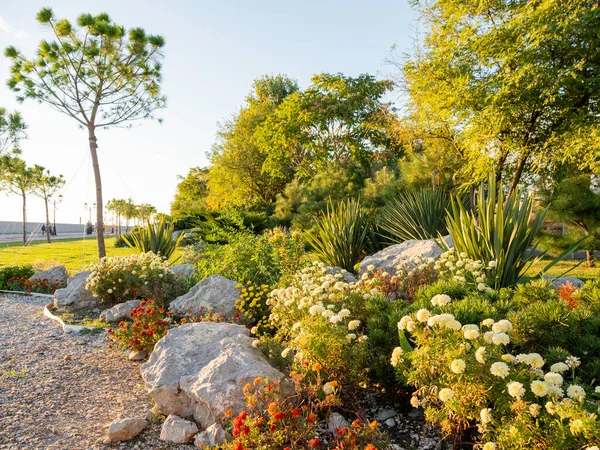 Şehir Peyzajı Renkli Bitkiler Çalılarla Dolu Bir Çiçek Tarhı Gün — Stok fotoğraf