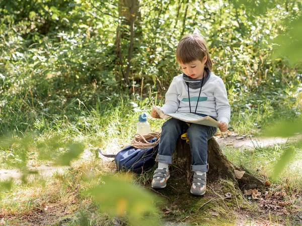 Piccolo Esploratore Escursione Nella Foresta Ragazzo Con Binocolo Siede Sul — Foto Stock