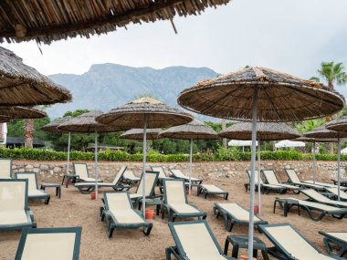 Türkiye 'de terk edilmiş bir otel. Palmiye ağaçlarının altındaki çimlerin üzerinde boş iskemleler. İnsanların yokluğu. Coronavirus COVID19 karantinasına bağlı taşıma tabusu. Pandemik tecrit nedeniyle iş kapatma.