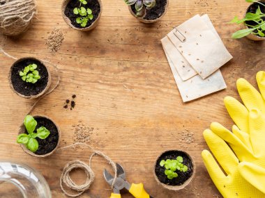 Tarım araçları ve sarı lastik eldivenler, sulama tenekesi ve halat sarmalı ahşap masa üzerinde fotokopi alanı olan çerçeve oluşturuyor. Biyolojik çözünebilir saksılarda fesleğen tohumları. Bahar mevsimi.