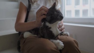 Güzel bir kadın, apartmanın beyaz merdivenlerinde otururken renkli sokak kedisini okşar. Evsiz kedi zevkle mırıldanıyor.