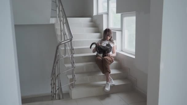 Mujer bonita acaricia gato callejero colorido mientras está sentado en los escalones blancos de la escalera del edificio de apartamentos. Gato sin hogar ronronea de placer. — Vídeo de stock
