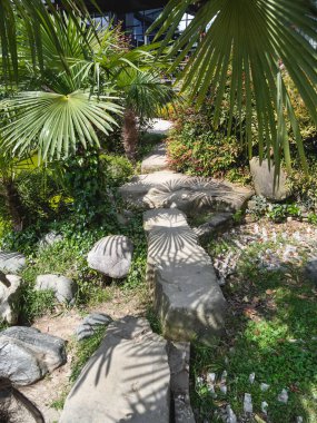 Rus-Japon Dostluğu Bahçesi 'ndeki palmiye ağaçları arasında büyük taşlardan yapılmış yürüyüş yolu. Soçi, Rusya 'da kentsel peyzaj.