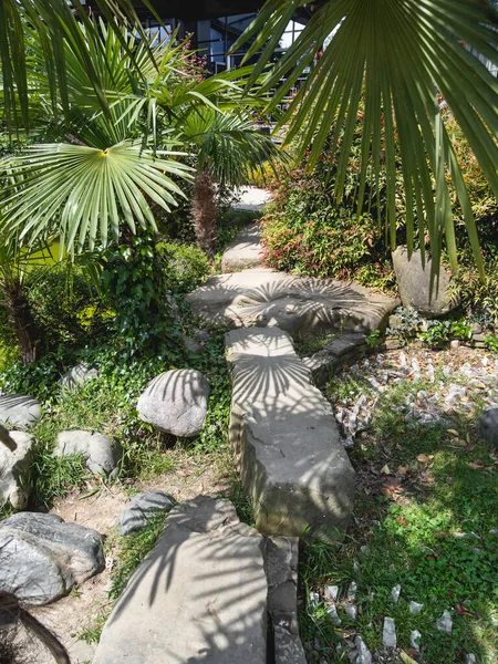 Rus-Japon Dostluğu Bahçesi 'ndeki palmiye ağaçları arasında büyük taşlardan yapılmış yürüyüş yolu. Soçi, Rusya 'da kentsel peyzaj.