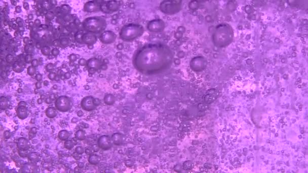 Långsam rörelse av luftbubblor inuti transparent flaska rengöringsmedel. Lila flytande kropp av bubblande tvättmedel. — Stockvideo