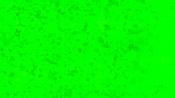 Lento movimiento de burbujas de aire dentro de la botella transparente de agente de limpieza. Cuerpo líquido verde del agente de lavado burbujeante. — Vídeos de Stock
