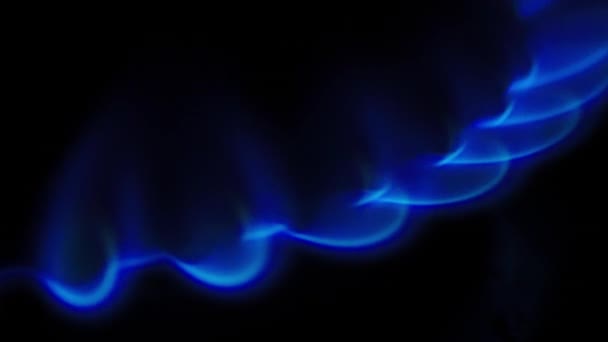 가스 밥솥에서 가스의 불꽃을 움직인다. 어둠 속에서 난로에 붙은 푸른 불. — 비디오