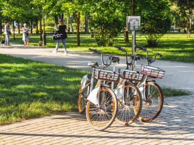 KRASNODAR, RUSSIA - Haziran 02, 2021. Şehir parkında kiralık bisikletler. Turistler ve yerel halk için çevre dostu ve rahat şehir ulaşımı.