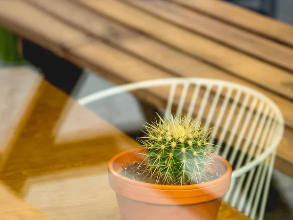 Uitzicht Kleine Cactus Klei Pot Door Het Raam Van Cafe — Stockfoto