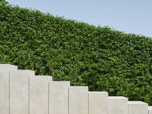 Ornamental Garden Trimmed Bushes Beige Staircase Geometrical Background Shrubs Architectural — Stock Photo, Image