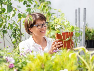 Kadın peyzaj için bitkileri seçiyor. Çiçekçide fideleri, çiçek açan bitkileri ve tohumları olan açık hava rafları. Açık hava tarım pazarı.