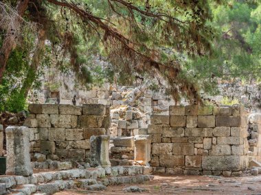 Antik Phaselis şehrinin kalıntıları. Ünlü mimari simgesi, Kemer bölgesi, Antalya. Türkiye.