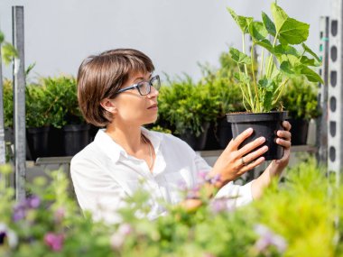 Kadın peyzaj için bitki ve ağaçları seçiyor. Çiçekçide fideleri, çiçek açan bitkileri ve tohumları olan açık hava rafları. Açık hava tarım pazarı.