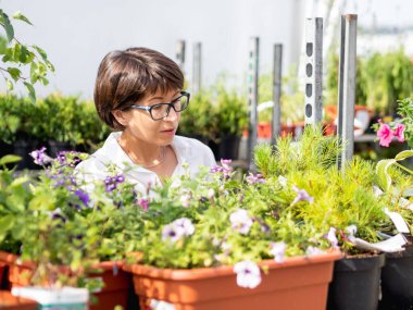 Kadın peyzaj için bitkileri seçiyor. Çiçekçide fideleri, çiçek açan bitkileri ve tohumları olan açık hava rafları. Açık hava tarım pazarı.
