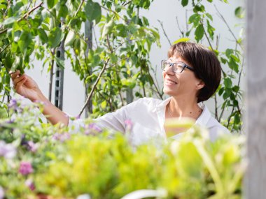 Kadın peyzaj için bitki ve ağaçları seçiyor. Çiçekçide fideleri, çiçek açan bitkileri ve tohumları olan açık hava rafları. Açık hava tarım pazarı.