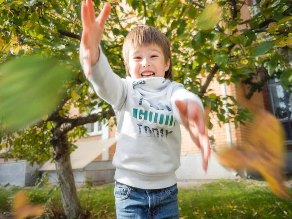 Fröhlicher Junge Salutiert Mit Buntem Laub Freizeitaktivitäten Für Kinder Freien — Stockfoto