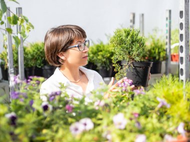 Kadın peyzaj için bitkileri seçiyor. Çiçekçide fideleri, çiçek açan bitkileri ve tohumları olan açık hava rafları. Açık hava tarım pazarı.
