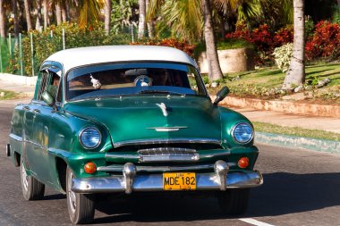 HAVANA, CUBA - February 5, 2008. Classic Plymouth (Chrysler). Most of the Cubans drive cars that were on the road before 1959.