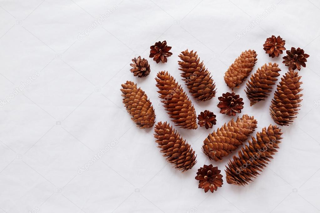 Heart of pine cones and fir cones on white background. Place for your text.