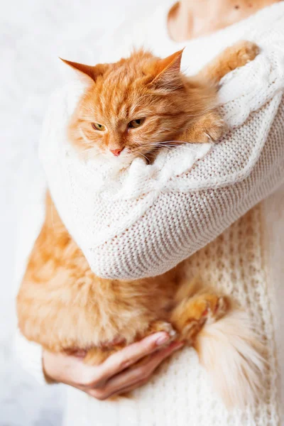 Mujer en jersey de punto sosteniendo gato pelirrojo enojado . — Foto de Stock