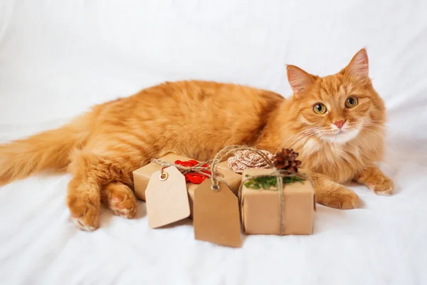 Ginger cat lies on bed with stack of christmas presents. Gifts are wrapped in craft paper and have empty tags for your text.