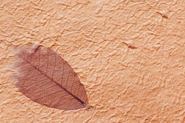 Fondo de textura abstracta. Papel arrugado hecho a mano con fibras y hojas . — Foto de Stock