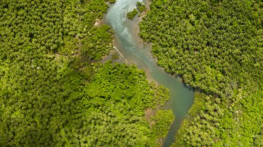 Nehirde kıvrıl. Bir yükseklikten fotoğraf