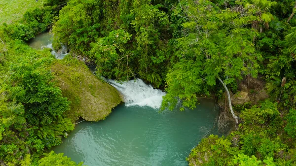 Wild Nature Jungle Waterfall Photo Height — Stock Photo, Image