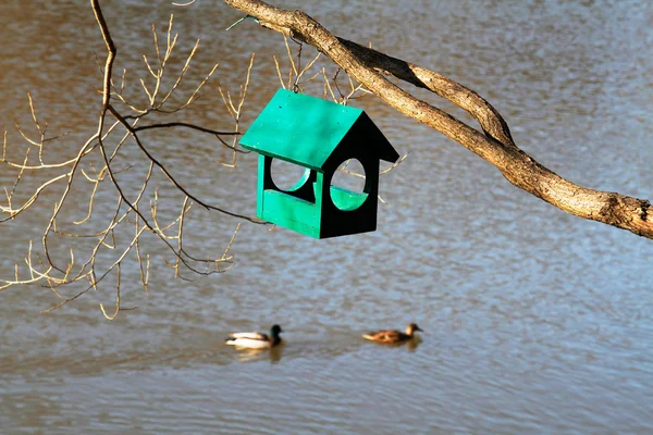 Green wooden birdhouse hanging on tree branch with ducks in the background outdoors — Stock Photo, Image