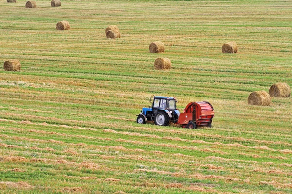 Traktör haystacks olan bir alana arka planda yuvarlak balya çeker