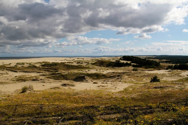 Woods ve dunes Curonian Spit — Stok fotoğraf