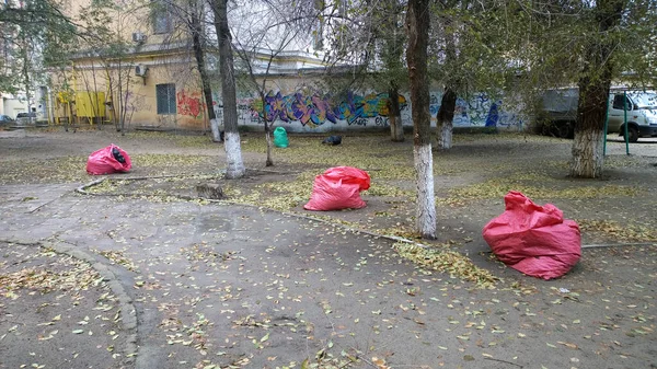 Volgogrado Rusia Noviembre 2014 Bolsas Basura Plástico Rojo Pie Patio —  Fotos de Stock