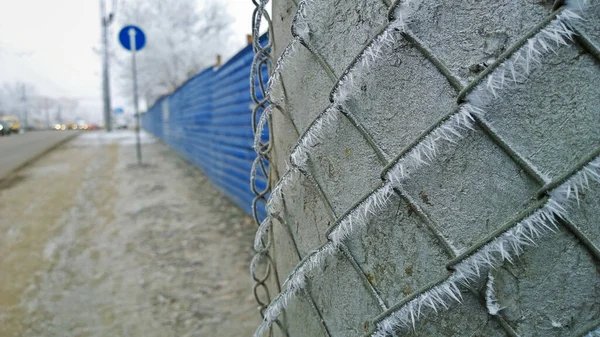 Treillis Métallique Protection Recouvert Givre Accroché Poteau Sur Fond Ville — Photo