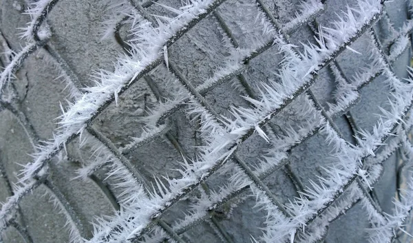 Metalltråd Skyddsnät Täckt Med Frost Hängande Stolpe — Stockfoto