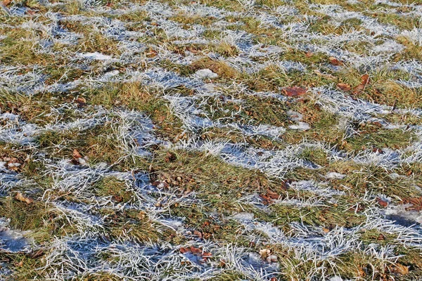 Frost Auf Dem Rasen Bei Sonnigem Wetter — Stockfoto