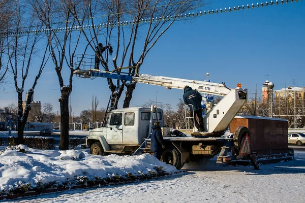 Volgograd, Rusland - 22 januari 2012: Werknemers versieren de bomen op de Ploshhad' Pavshih Borcov (het vierkantje van de strijders gedaald) in Volgograd — Stockfoto