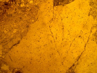 Optik mineralojinin ve petrografinin ince bölümünün fotoğrafı