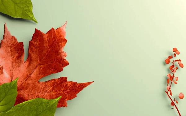 3d illustration Autumn maple leaf. banner autumn pattern maple leaf brightly, Festive decorations, dried leaves and mockup greeting card, flat lay for text design. 3d rendering.