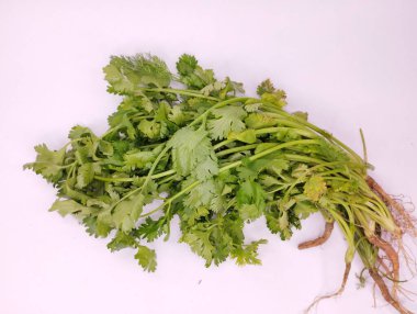 Köklü Taze Kişniş Çetesi