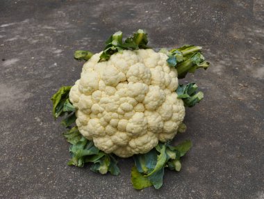 Beton Yüzeyde Taze Beyaz Karnabahar Başı