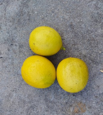 Gri Arkaplanda Üç Sarı Limon