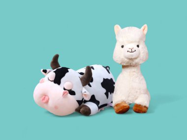 Yumuşak Uyuyan İnek ve Beyaz Ayaklı Lama