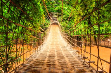 ahşap köprü tüneli