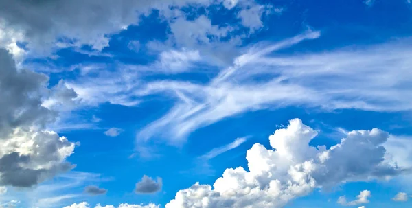 Pekasus cloud — Stock Photo, Image