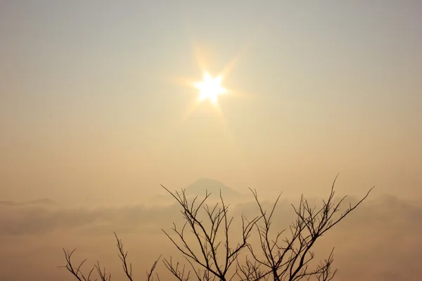 Le matin ensoleillé — Photo